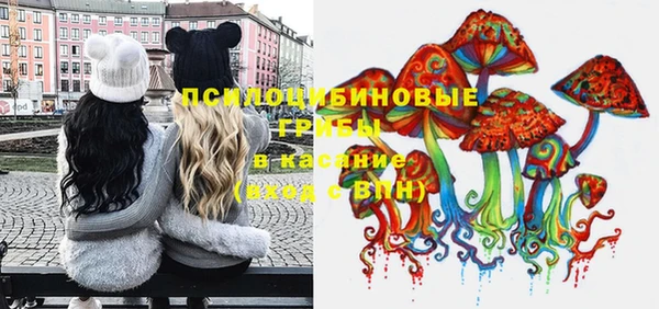 мдпв Абинск