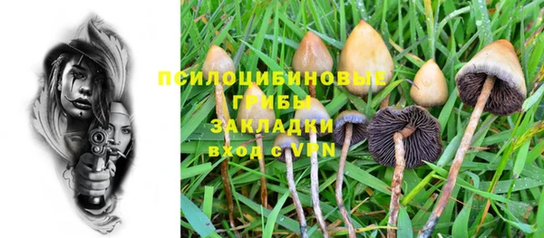 хмурый Абаза