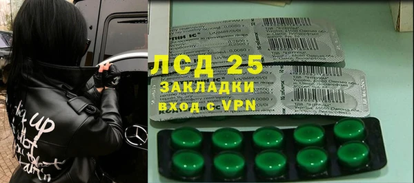 хмурый Абаза